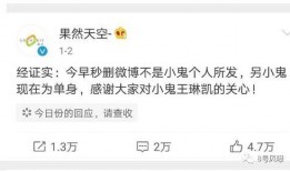 大师最新爆料视频大全在线观看,视频大全在线观看，精彩内容抢先看！