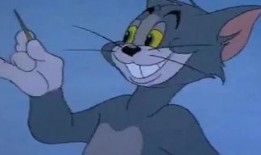 猫和老鼠怎么看爆料视频,揭秘猫和老鼠幕后爆料视频