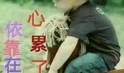 王刚爆料生活视频大全,生活视频大全背后的真实故事