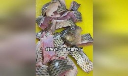 吃瓜娱乐小鲤鱼视频,趣味视频引网友热议